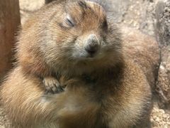 -皇家极地海洋世界-售票处