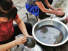 -寒岩夕照农家乐