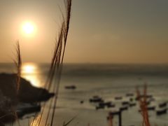 -枸杞岛