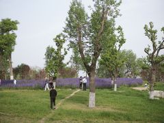 -汉长安城未央宫国家考古遗址公园