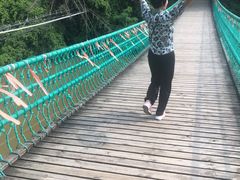 -南宁良凤江国家森林公园