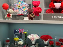 -ROSEONLY诺誓(国际广场购物中心店)