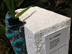 -精绝七日-新疆尼雅遗址数字大展【拉法耶文化艺术中心】