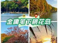 -金鸡湖桃花岛