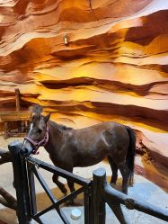 -酷嗒动物文化乐园(cutezoo西溪乐天城店)