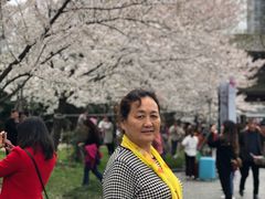 -堤角公园