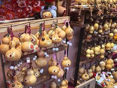 -越秀西湖花市(广州城市广场花卉店)