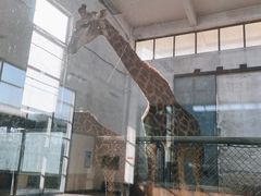 -石家庄市动物园