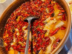 -红辣椒·川菜·火锅(张杨路店)