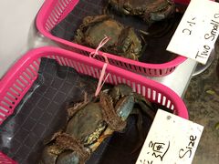 -龙海鲜螃蟹王(宏茂桥店)