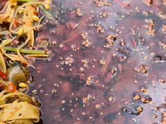 -胖子鱼·天水麻辣鱼火锅(秦州407店)