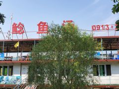 -白氏鲶鱼汤(白亮1号店)