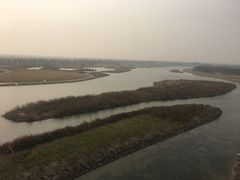 -春花秋色城市公园