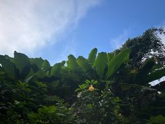 -野象谷景区