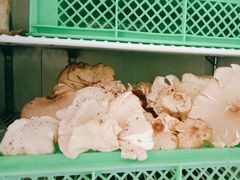-山菌美食苑(振兴路店)
