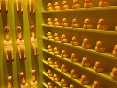 -杭州西湖星空魔幻城(星空艺术馆品牌旗舰店)