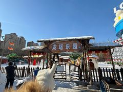 -龙塔