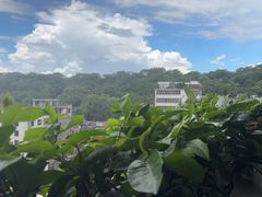 -佛山顺德香云纱园林酒店(清晖园店)