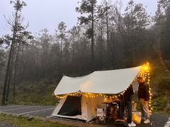 -武陵山森林公园