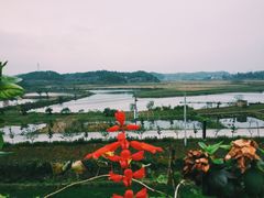 -崇阳三特浪口温泉