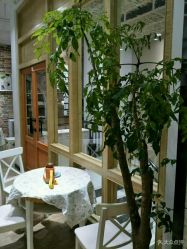 -星豆豆儿童摄影(南郊太白南路店)