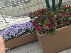 -饭橘汉江码头·乡野土菜馆(静安路店)