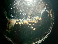 -珠海长隆海洋王国