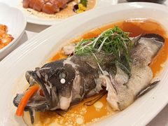 -南海渔村(珠江新城店)