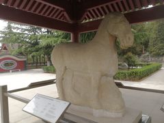 -茂陵博物馆