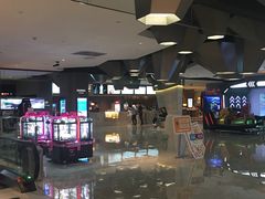 -星河寰宇IMAX影城(星河WORLD·COCO Park店)