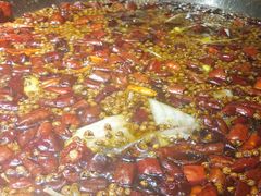 -雲蜀龙阁·金牌水煮鱼(方庄店)