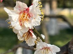 -好福记饭店(红梅公园店)