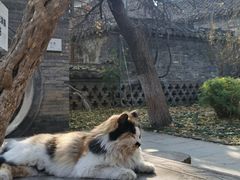 -天朝元辅-徐州民俗博物馆