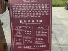 -赵州桥景区