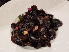 -深圳罗湖木棉花凯悦尚选酒店•大堂吧