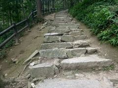 -冶父山国家森林公园