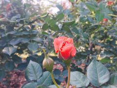 景点-人民公园(罗湖区)