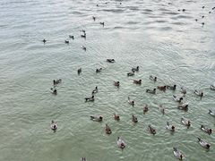-深圳湾公园(南山区)
