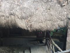 -海南槟榔谷黎苗文化旅游区