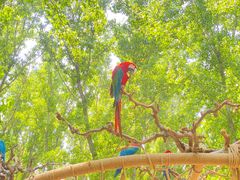-北京野生动物园