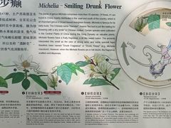 -昆明植物园