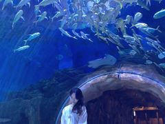 -华夏文旅海洋公园