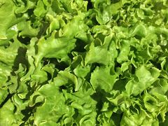 -萨拉伯尔水源素问店·韩国宫廷料理(人民路店)