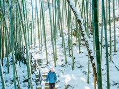 -安吉龙王山风景区