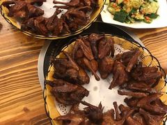 -百利鸽王(紫薇路店)