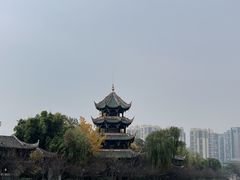 -望江楼公园