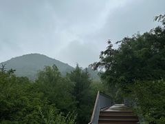 -佛慧山