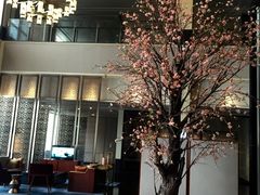 -成都安仁福朋喜来登酒店