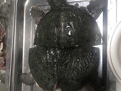 甲鱼-大连海鲜斑鱼火锅(安平店)