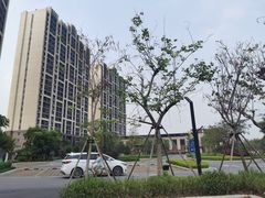 -美的鹭湖森林度假区